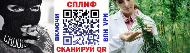 Конопля план Кола